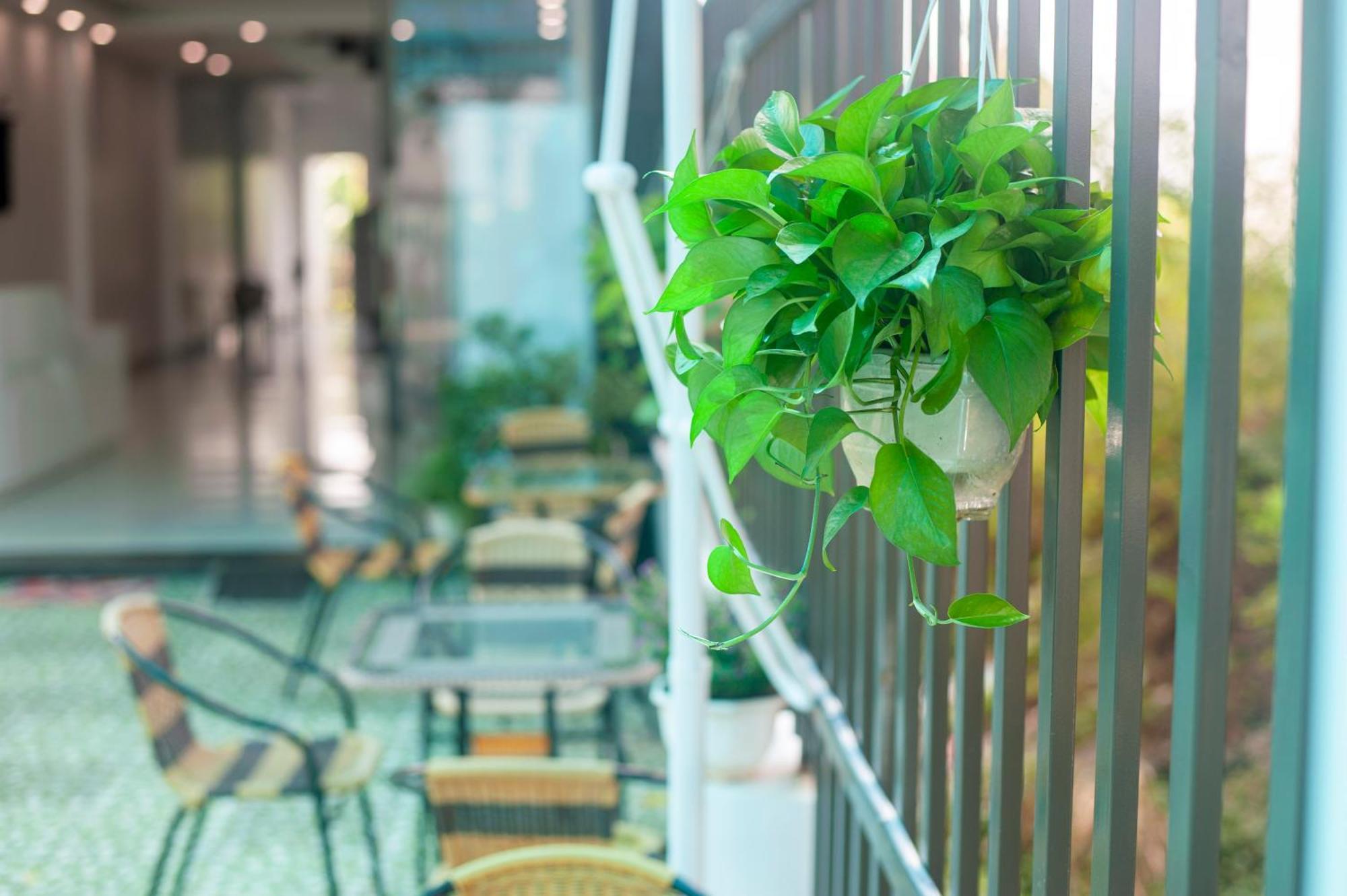 Tam Coc Peaceful Hotel Ninh Binh Exterior foto